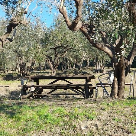 Agriturismo Cele سيلي ليجور المظهر الخارجي الصورة