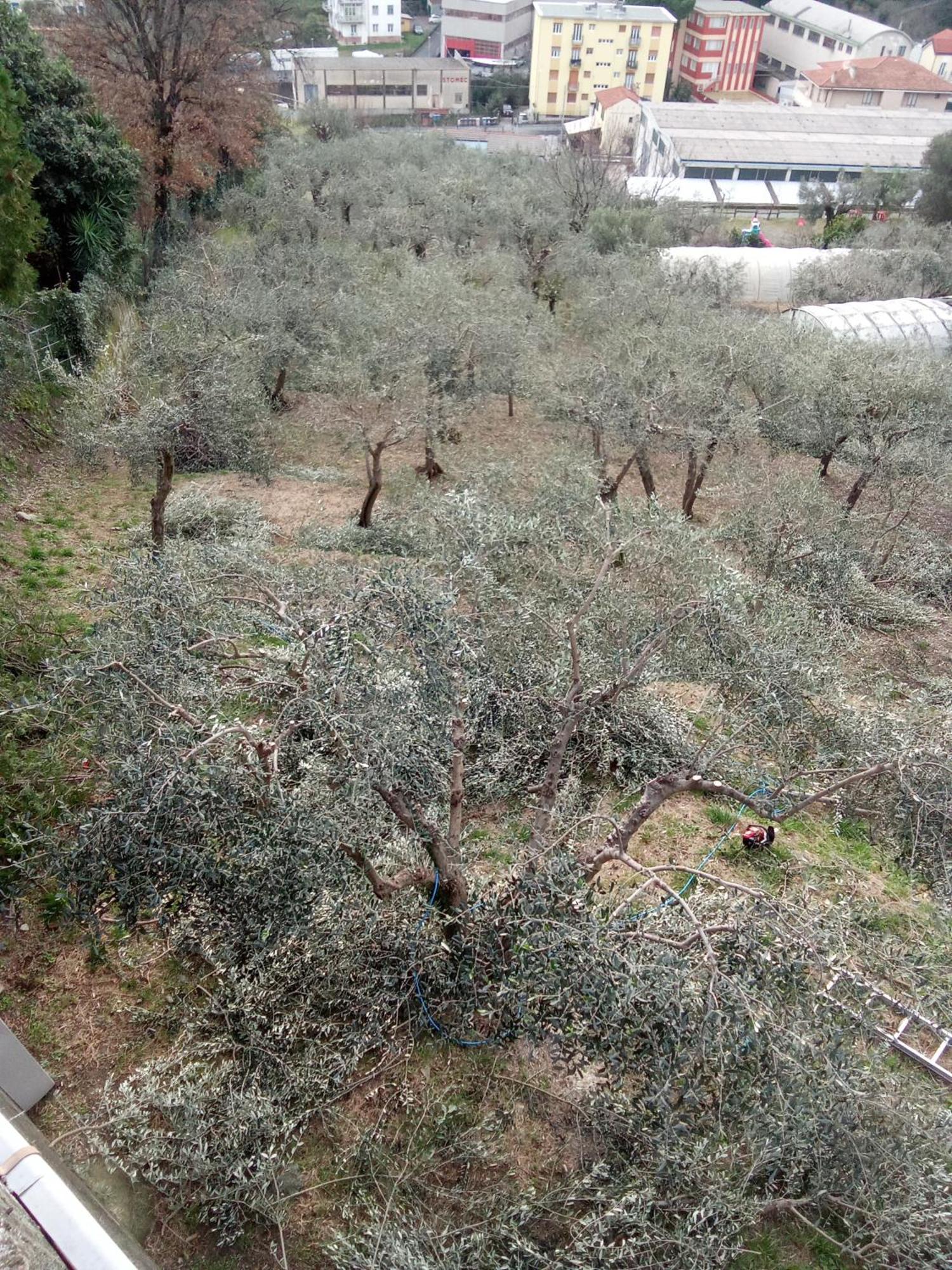 Agriturismo Cele سيلي ليجور المظهر الخارجي الصورة