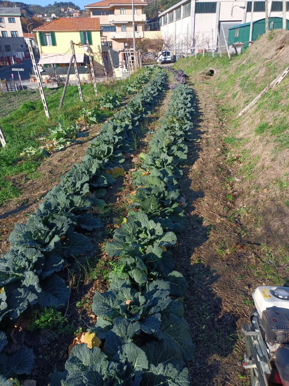 Agriturismo Cele سيلي ليجور المظهر الخارجي الصورة